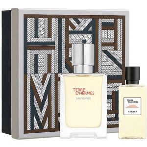 Hermès Geschenkset - Terre D'Hermès Eau Givrée Eau De Parfum Set 50ml / 40ml