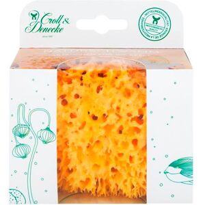 Croll & Denecke Naturschwamm in umweltfreundlicher Geschenkbox Croll & Denecke Naturschwamm in umweltfreundlicher Geschenkbox