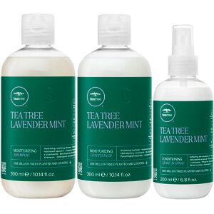 Paul Mitchell Tea Tree Lavender Mint Set - Haarpflege-Set Paul Mitchell Tea Tree Lavender Mint Set - Haarpflege-Set