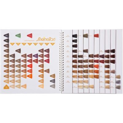 Spring Springton Farbkarte - Cremehaarfarbe mit Proteinen Spring Springton Farbkarte - Cremehaarfarbe mit Proteinen