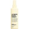 Authentic Beauty Concept Replenish Spray Conditioner 250 ml