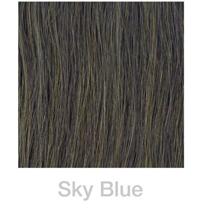 Balmain Fill-In Extensions Gerade Fantasy 45 cm Himmelblau - Haarverlängerungen Balmain Fill-In Extensions Gerade Fantasy 45 cm Himmelblau - Haarverlängerungen