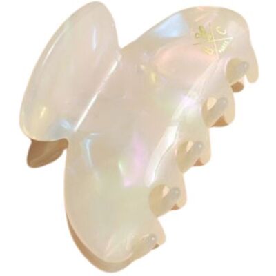 BACHCA Seashell Clip Normal BACHCA Seashell Clip Normal