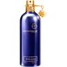 Montale Blue Amber Eau de Parfum 100 ml