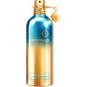 Montale Aoud Lagoon Eau de Parfum 100 ml