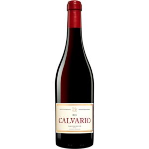 Finca Allende Calvario 2011 14% Vol. Rotwein Trocken aus Spanien