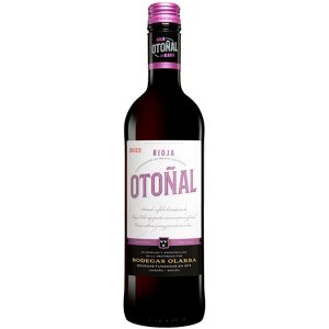 Olarra Otoñal Tinto 2022 13% Vol. Rotwein Trocken aus Spanien