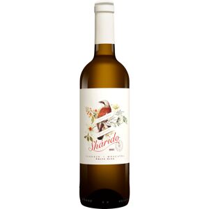 Juan Gil Shárido Verdejo Moscatel 2023 13% Vol. Weißwein Trocken aus Spanien