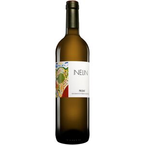 Clos Mogador Nelin Blanco 2020 14.5% Vol. Weißwein Trocken aus Spanien