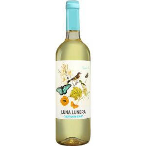 Dehesa de Luna Luna Lunera Sauvignon Blanc 2023 13% Vol. Weißwein Trocken aus Spanien