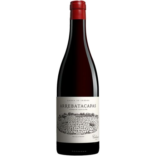 Telmo Rodríguez Pegaso Arrebatacapas 2022 15% Vol. Rotwein Trocken aus Spanien