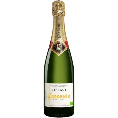 Codorníu Codorniu Cava Vintage Brut 11.5% Vol. Trocken aus Spanien Codorníu Codorniu Cava Vintage Brut 11.5% Vol. Trocken aus Spanien