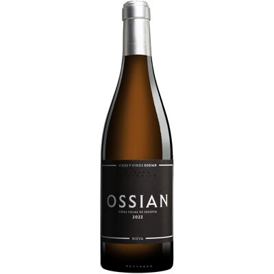 Ossian Verdejo 2022 13% Vol. Weißwein Trocken aus Spanien Ossian Verdejo 2022 13% Vol. Weißwein Trocken aus Spanien