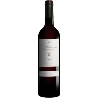 Álvaro Palacios Palacios Priorat »Les Terrasses« 2022 14.5% Vol. Rotwein Trocken aus Spanien Álvaro Palacios Palacios Priorat »Les Terrasses« 2022 14.5% Vol. Rotwein Trocken aus Spanien