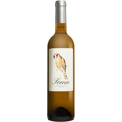 Ribas (Hereus de) Ribas Blanc »Soma« Viognier 2024 13% Vol. Weißwein Trocken aus Spanien Ribas (Hereus de) Ribas Blanc »Soma« Viognier 2024 13% Vol. Weißwein Trocken aus Spanien