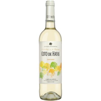 Aragonesas Coto de Hayas Blanco 2025 13% Vol. Weißwein aus Spanien Aragonesas Coto de Hayas Blanco 2025 13% Vol. Weißwein aus Spanien
