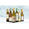 Blanco Favoriten Weinpaket  aus Spanien