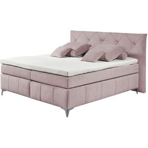 meinBett Boxspringbett 180x200 cm Chester ¦ rosa/pink ¦ Maße (cm): B: