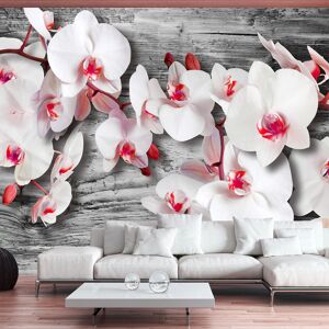 Artgeist Fototapete - Callous orchids