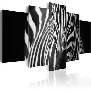 Artgeist Wandbild - Zebra look