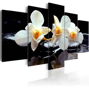 Artgeist Wandbild - Orchids with orange accent