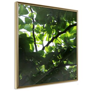 Artgeist Poster - Under Cover of Leaves