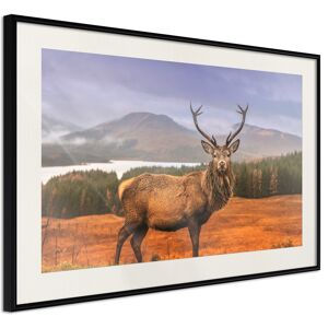 Artgeist Poster - Majestic Deer