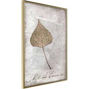 Artgeist Poster - Dried Leaf