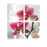 Artgeist Wandbild - Ausgefallene Orchidee