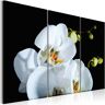 Artgeist Wandbild - Schneeweiße Orchidee