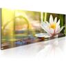 Artgeist Wandbild - Lotus' Glow