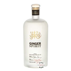 Nonino Distillatori Nonino Ginger Spirit (50 % Vol., 0,5 Liter)