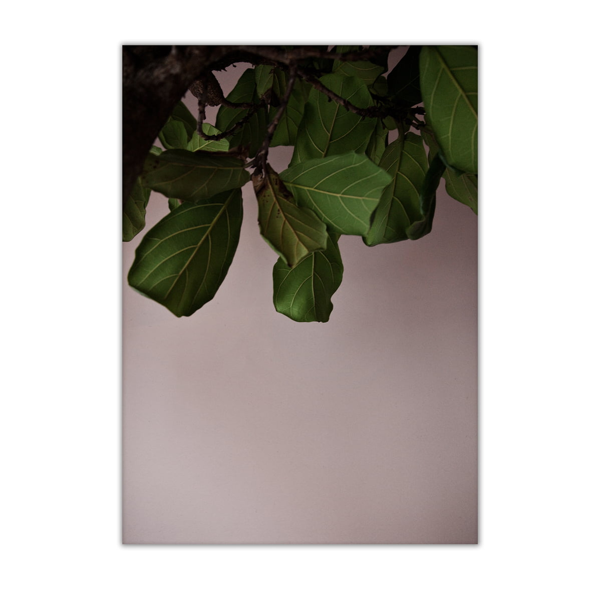 Paper Collective - Green Leaves, 50 x 70 cm
