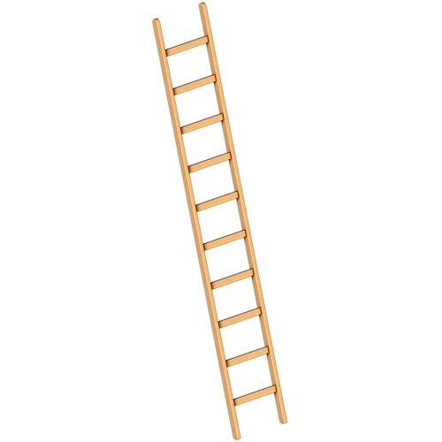 Layher 1052 Holzanlegeleiter 10 Sprossen