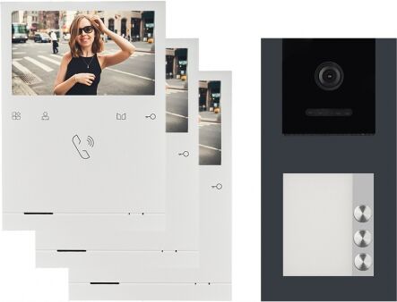 AUFPUTZ Video Türsprechanlage für 3 Familienhaus BALTER EVO QUICK mit 4,3 Zoll Monitor 2-Draht BUS, Türstation mit 120° (Türstation Farbe : Anthrazitgrau)