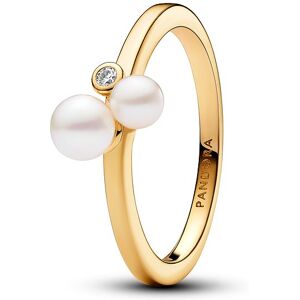 Pandora Damenring Pandora Timeless 163156C01-54 Pandora Damenring Pandora Timeless 163156C01-54