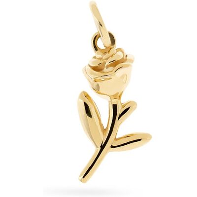 FAVS Charm Mix & Match 89231782 FAVS Charm Mix & Match 89231782