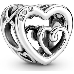 Pandora Charm Moments 790800C00