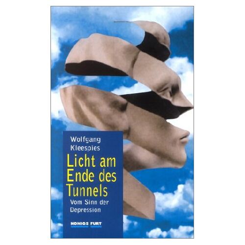 Wolfgang Kleespies – GEBRAUCHT Licht am Ende des Tunnels. Vom Sinn der Depression – Preis vom 08.01.2024 05:55:10 h