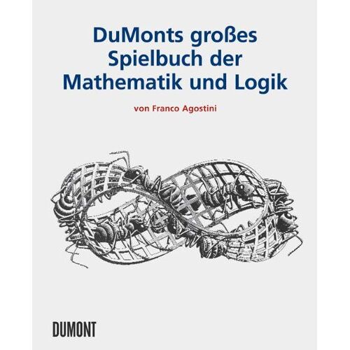 Franco Agostini – GEBRAUCHT DuMonts Grosses Spielbuch der Mathematik und Logik – Preis vom 07.01.2024 05:53:54 h