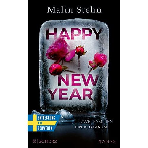 Malin Stehn – GEBRAUCHT Happy New Year – Zwei Familien, ein Albtraum: »Kommt einem so nahe, dass man sich nicht wehren kann.« Mattias Edvardsson – Preis vom 08.01.2024 05:55:10 h