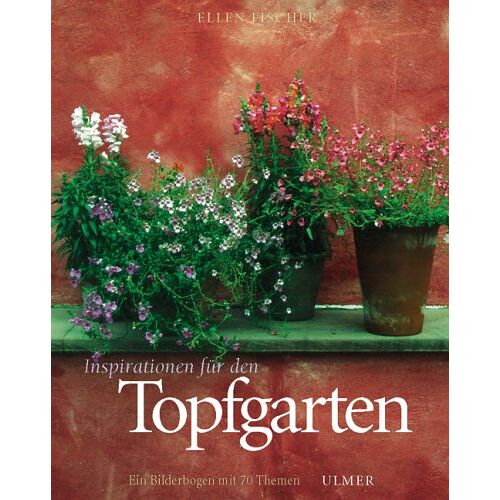 Gebraucht: Ellen Fischer - GEBRAUCHT Inspirationen für den Topfgarten - Preis vom 25.07.2022 04:28:23 h