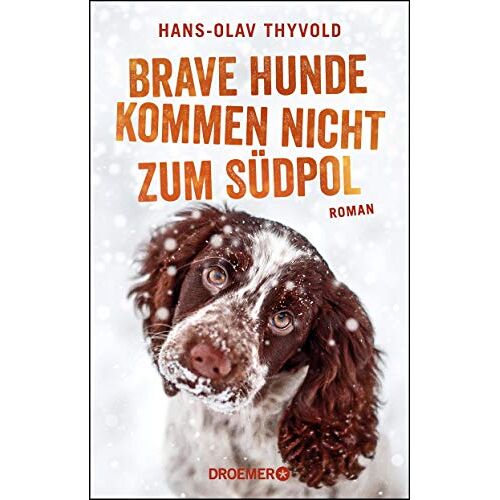 Hans-Olav Thyvold - Brave Hunde kommen nicht zum Südpol: Roman - Preis vom 26.05.2022 04:42:35 h