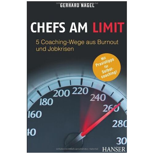 Gerhard Nagel – GEBRAUCHT Chefs am Limit: 5 Coaching-Wege aus Burnout und Jobkrisen – Preis vom 08.01.2024 05:55:10 h