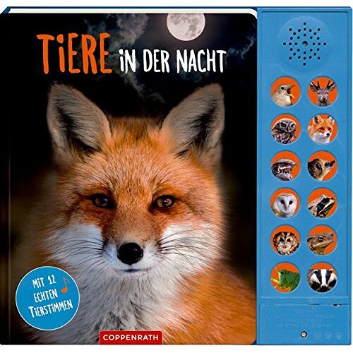 Katja Baier - Tiere in der Nacht: Mit 12 echten Tierstimmen - Preis vom 15.01.2022 06:01:58 h