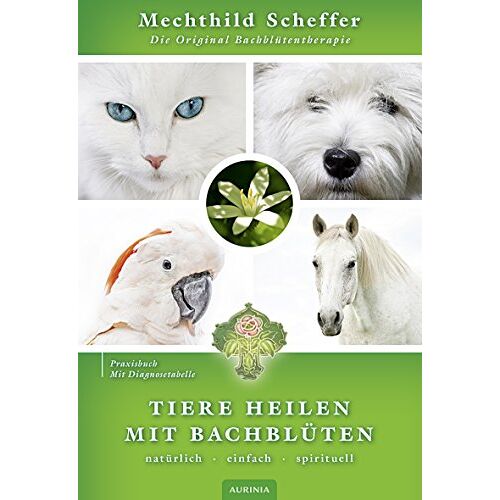 Mechthild Scheffer - Tiere heilen mit Bachblüten - Praxisbuch: Die Original Bachblütentherapie - Preis vom 08.01.2022 06:00:31 h