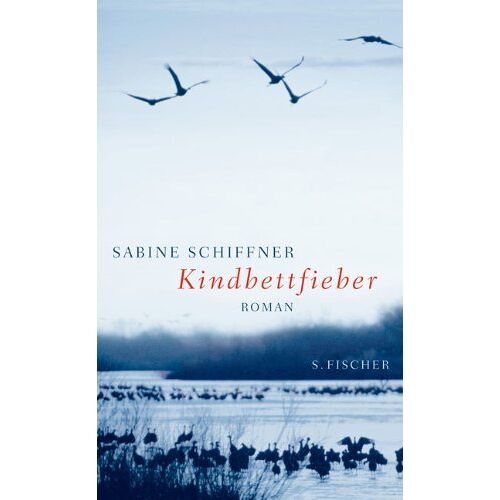 Sabine Schiffner – GEBRAUCHT Kindbettfieber – Preis vom 08.01.2024 05:55:10 h