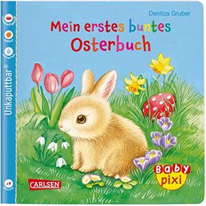 Denitza Gruber - GEBRAUCHT Baby Pixi 63: Mein erstes buntes Osterbuch - Preis vom 24.04.2024 05:05:17 h