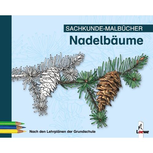 【ᐅᐅ】07/2020 Nadelbaum Samen Vergleich Die aktuell besten Modelle im Test 【ᐅᐅ】07/2020 Nadelbaum Samen Vergleich Die aktuell besten Modelle im Test