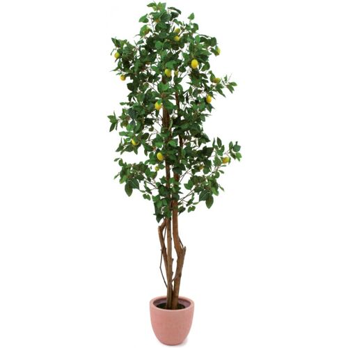 EUROPALMS Zitronenbaum, 180cm
